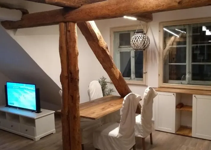 Eulen- & Altstadtnest