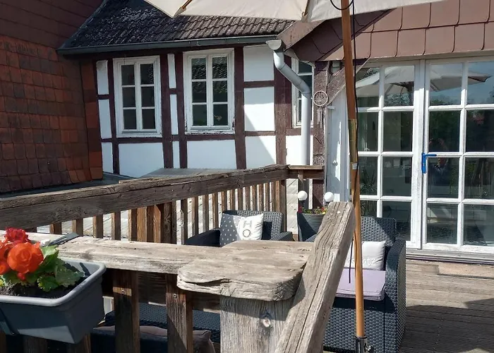 Eulen- & Altstadtnest