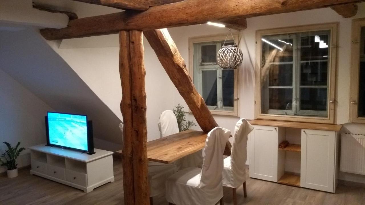 Eulen- & Altstadtnest * Peine