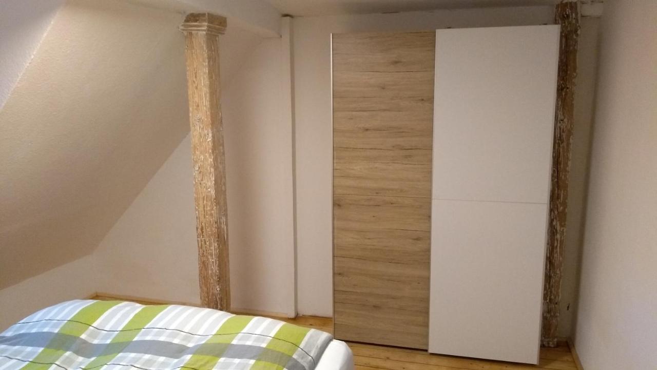 Eulen- & Altstadtnest