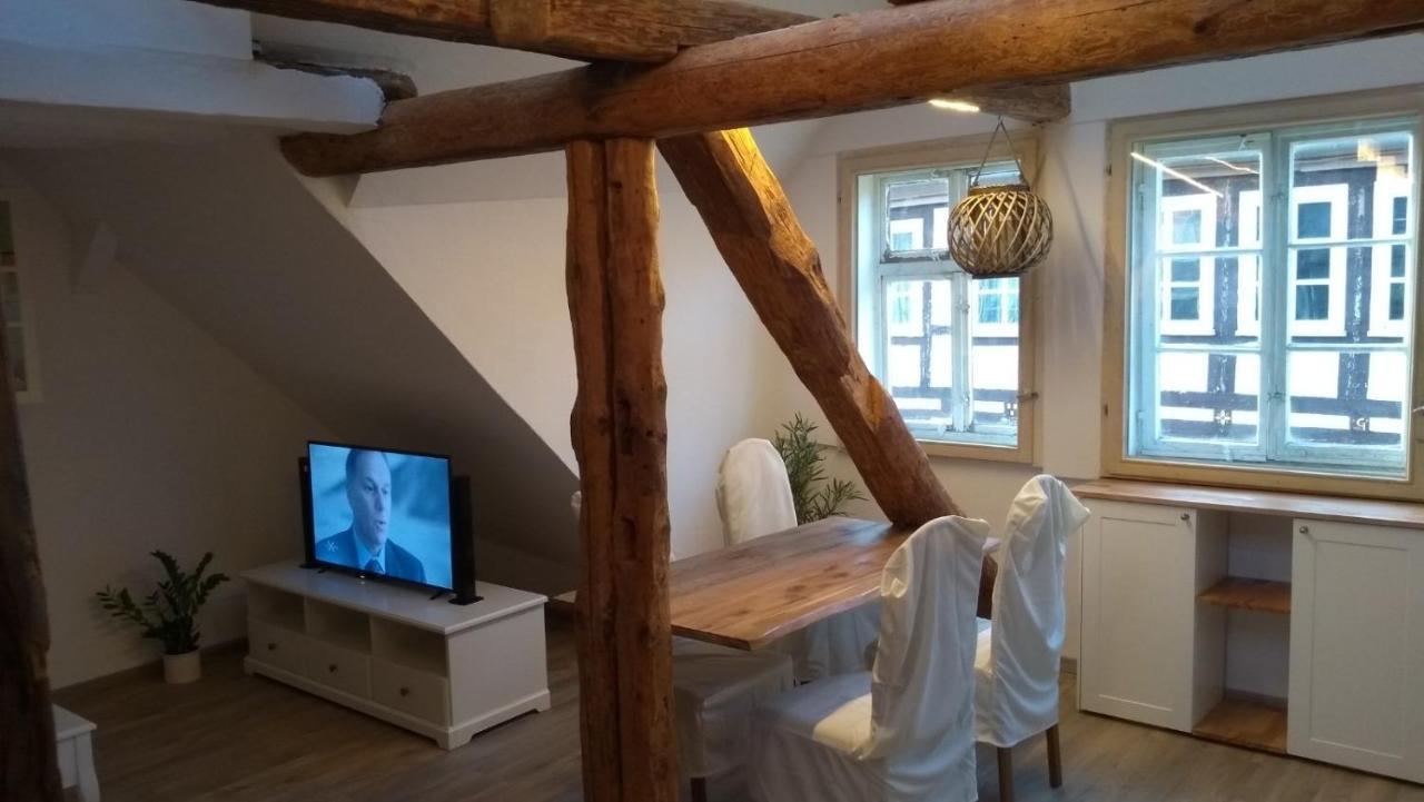 Eulen- & Altstadtnest * Peine
