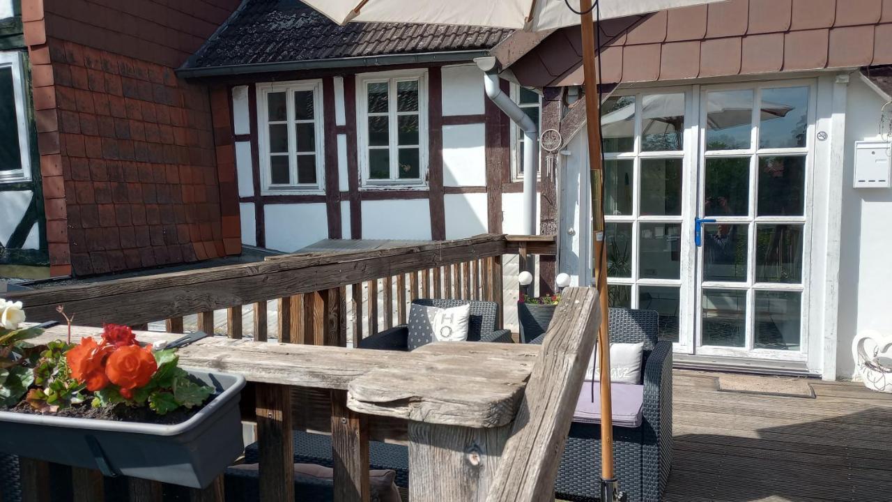 Eulen- & Altstadtnest *