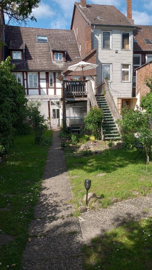 Eulen- & Altstadtnest